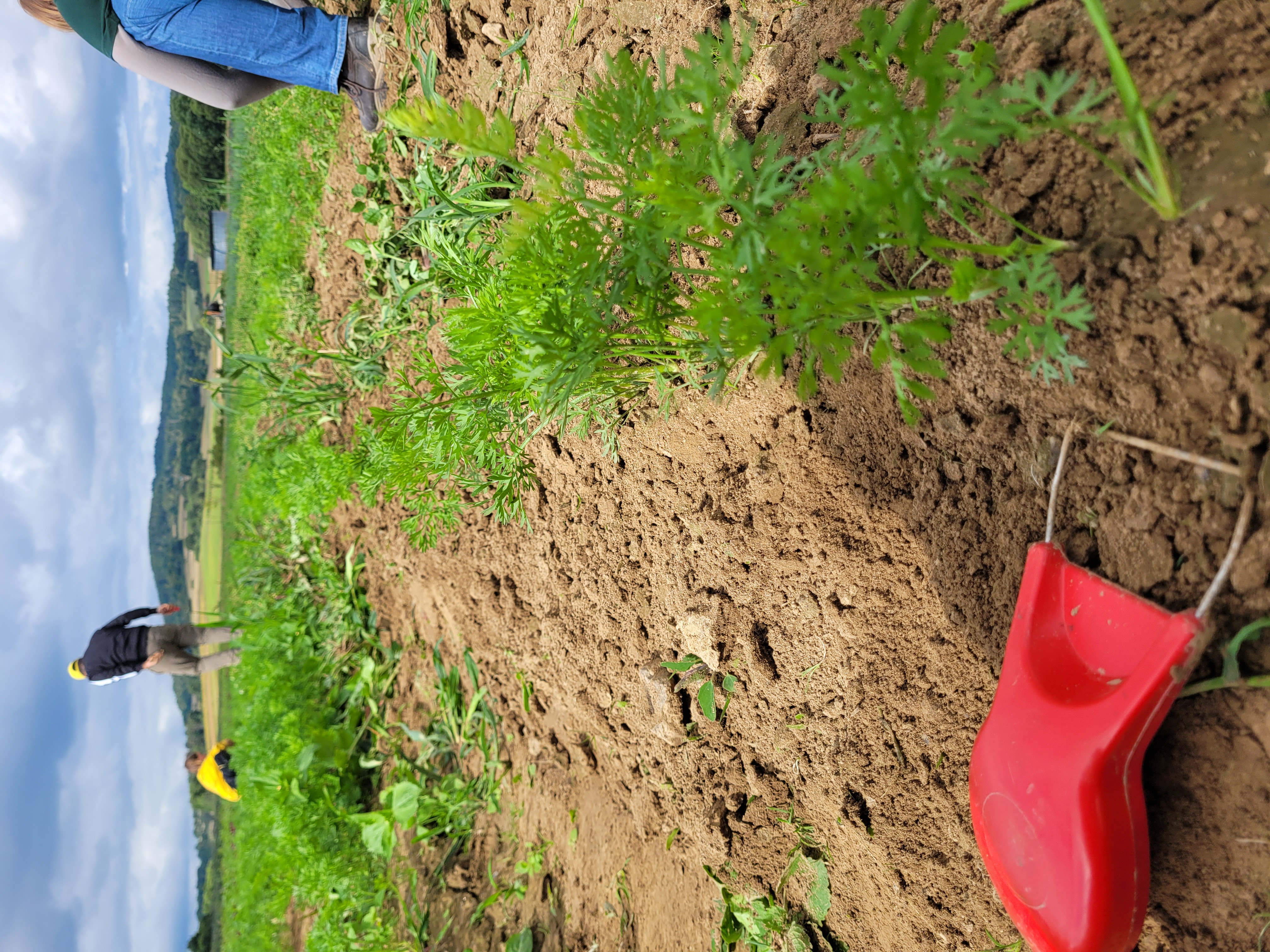 Bei Ackereinsatz im August 2025