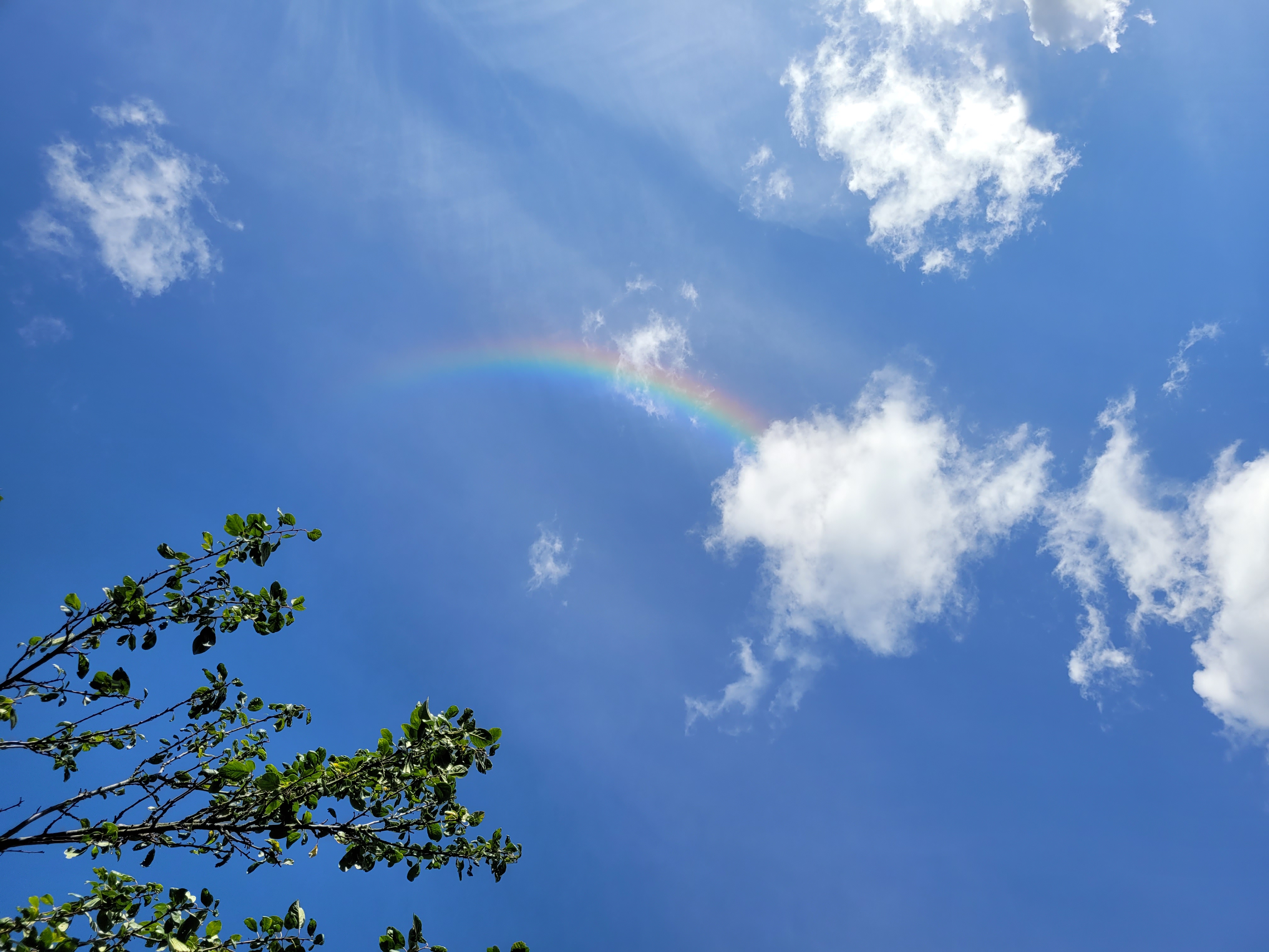 Ein Regenbogen beim Hoffest.