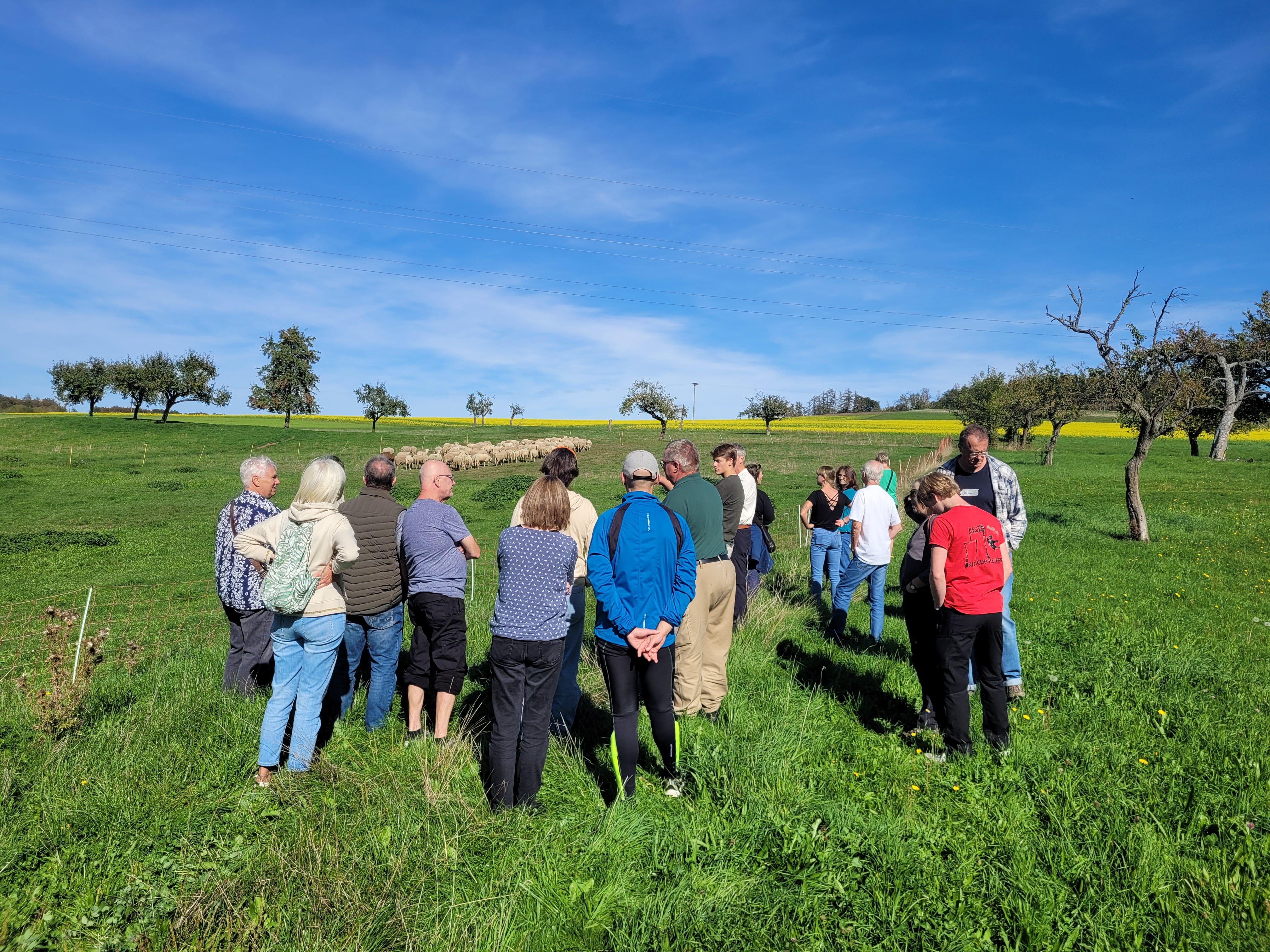Solawi-Mitglieder vor der Weide