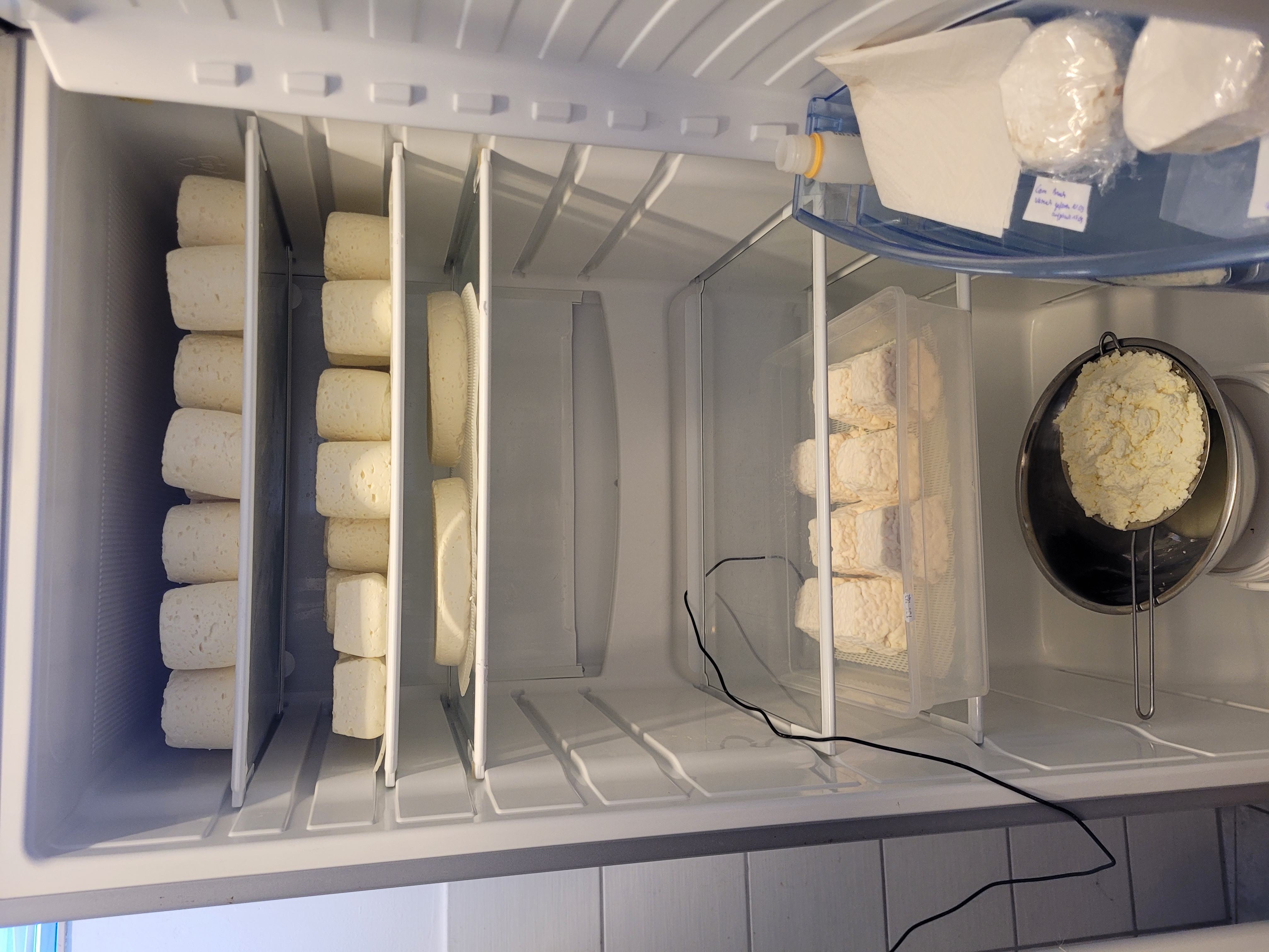 Der Camembert-Kühlschrank.