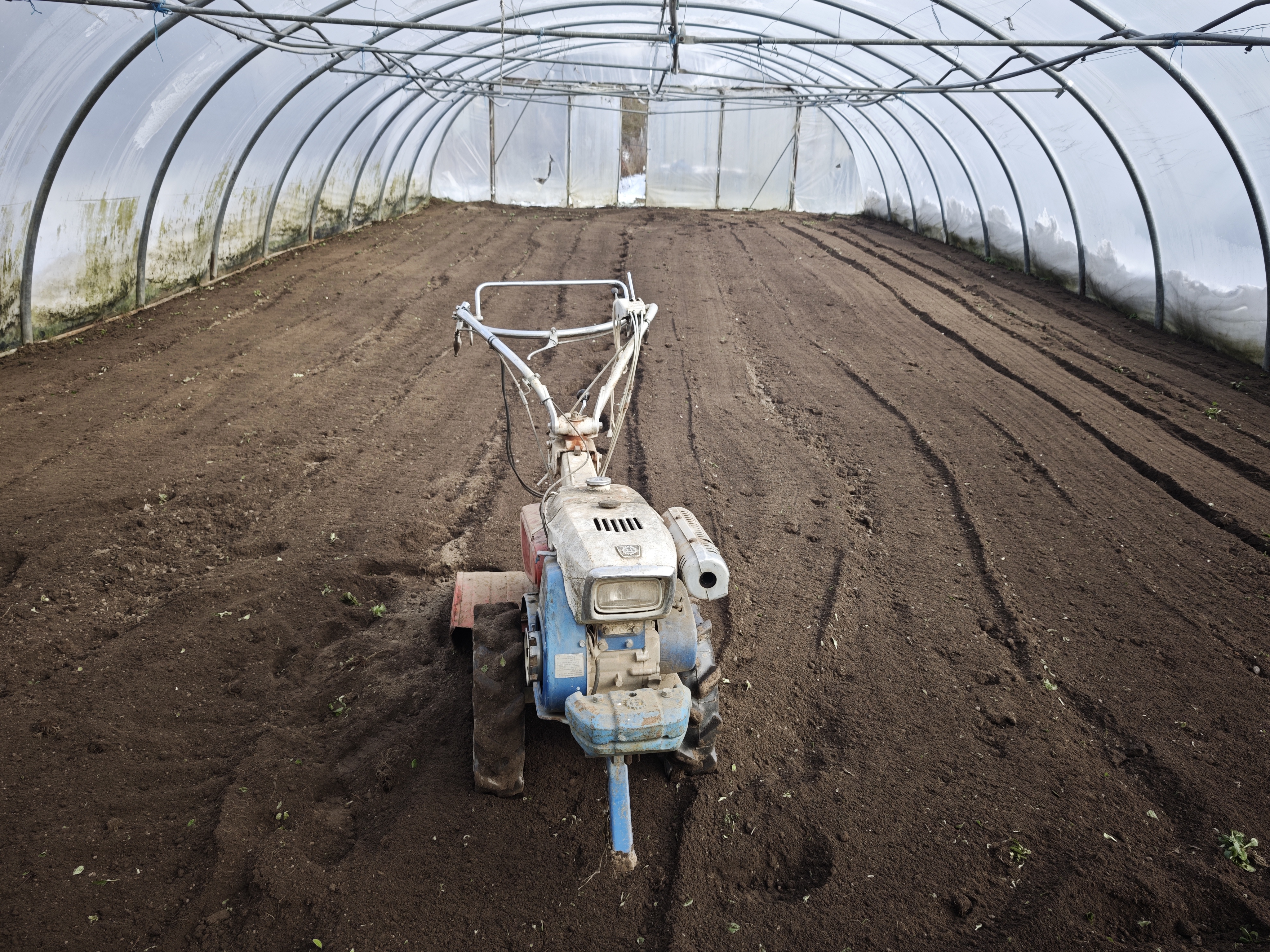 Bodenvorbereitung im Gewächshaus