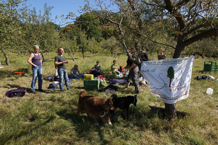 Mittagspicknick auf der Streuobstwiese in Heskem