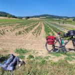 Der Acker mit Fahrrad im Vordergrund